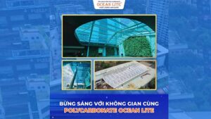 Tấm nhựa kính Polycarbonate OceanLite - Giá lẻ tốt trên thị trường, chính sách hấp dẫn, chiết khấu cao.