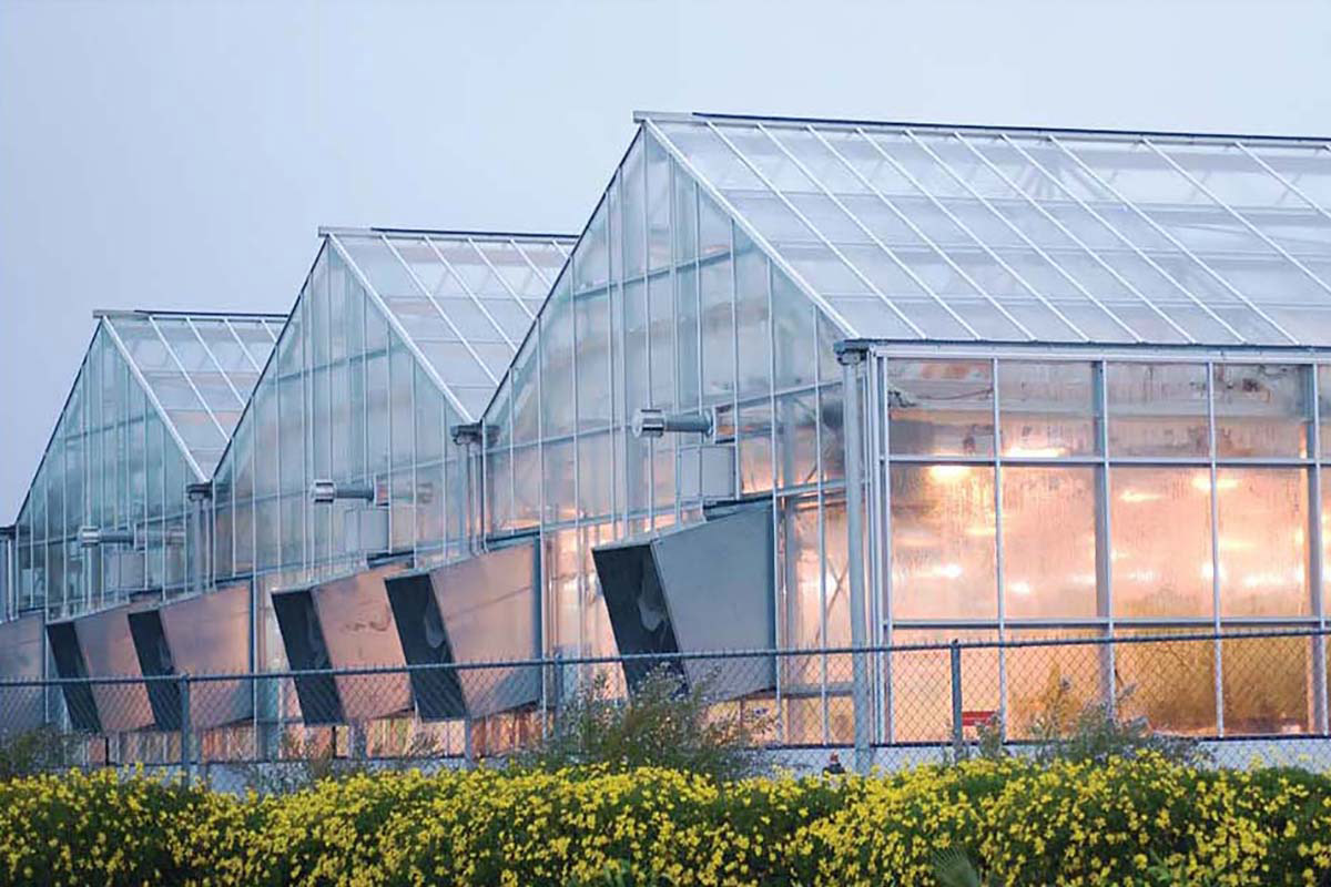 Báo giá tấm lợp nhựa thông minh và kinh nghiệm chọn mua tiết kiệm